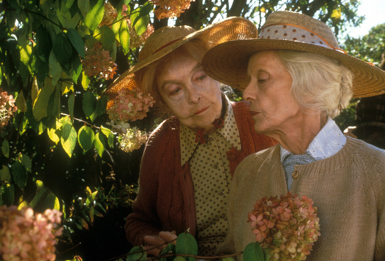 The Whales of August. 1987. USA. Directed by Lindsay Anderson. Courtesy of Alive Films/Photofest