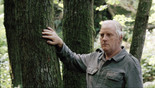Le genou d’Artemide (Artemide’s Knee). 2007. Italy/France. Written and directed by Jean-Marie Straub