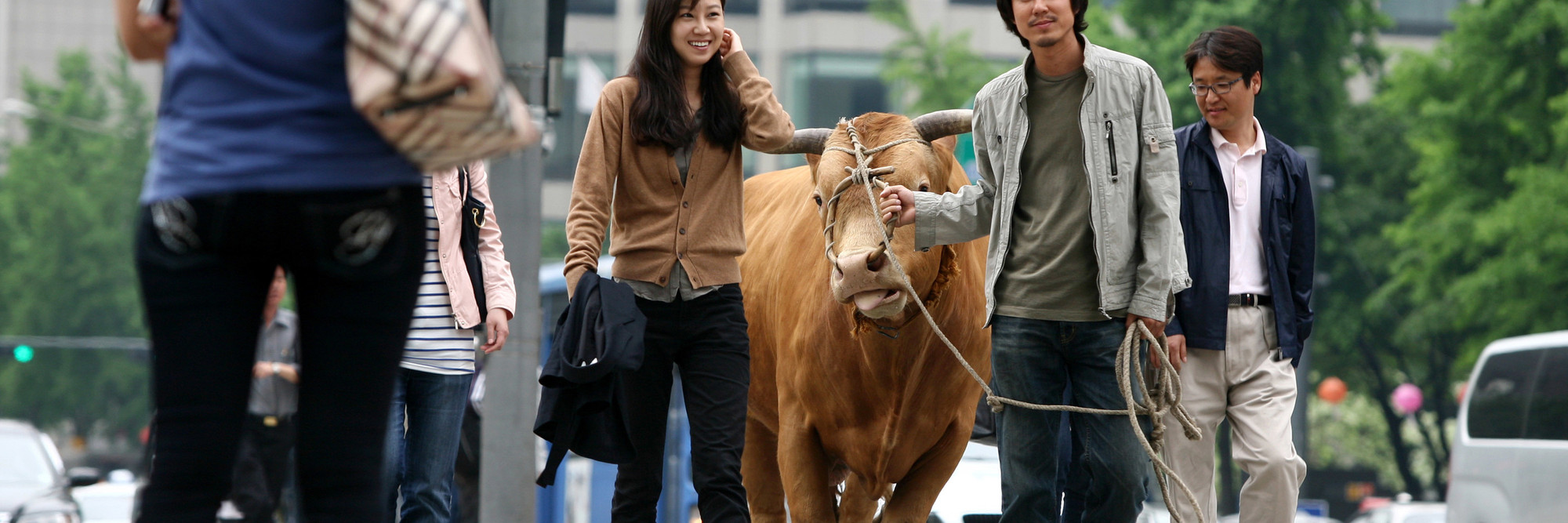 Rolling Home with a Bull. 2010. South Korea. Directed by Im Soon-rye