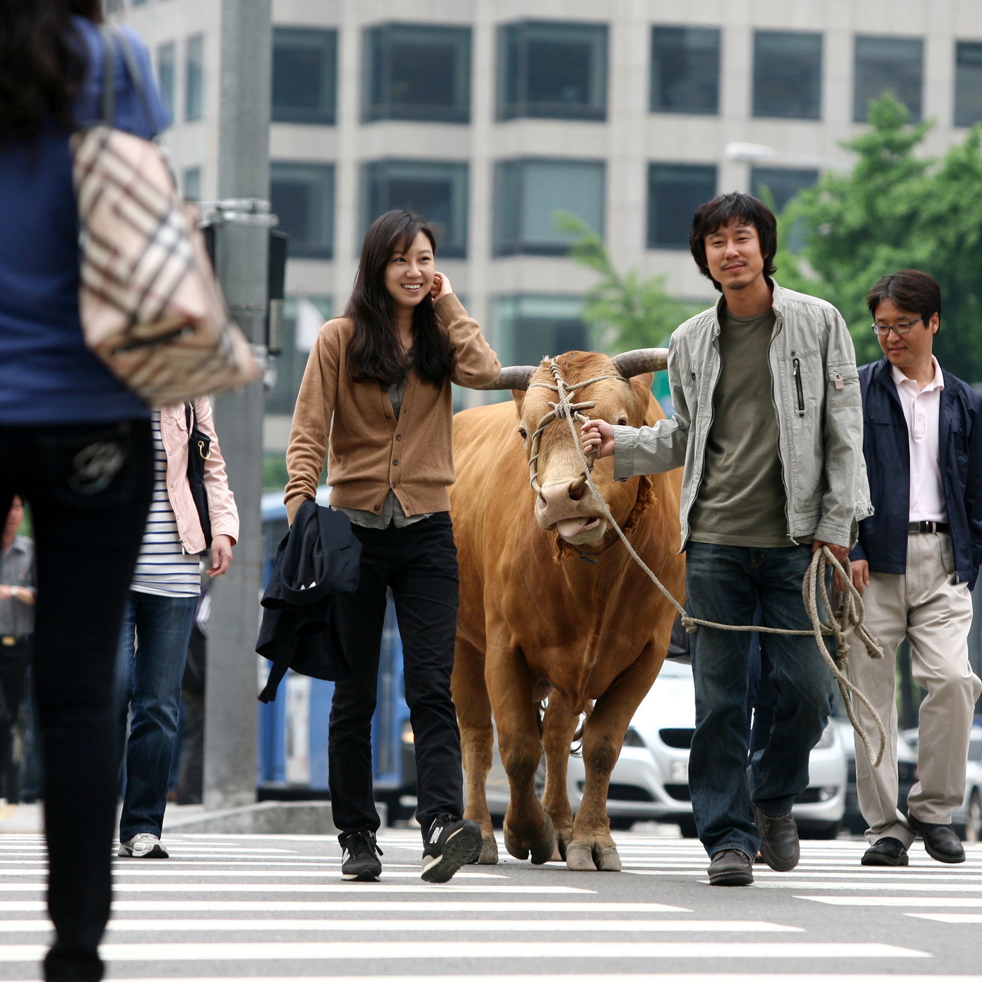 Rolling Home with a Bull. 2010. South Korea. Directed by Im Soon-rye
