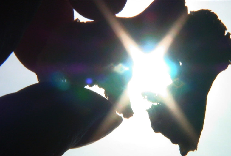 Chiri (Trace). 2012. Japan. Directed by Naomi Kawase. Courtesy of Kumie Inc.