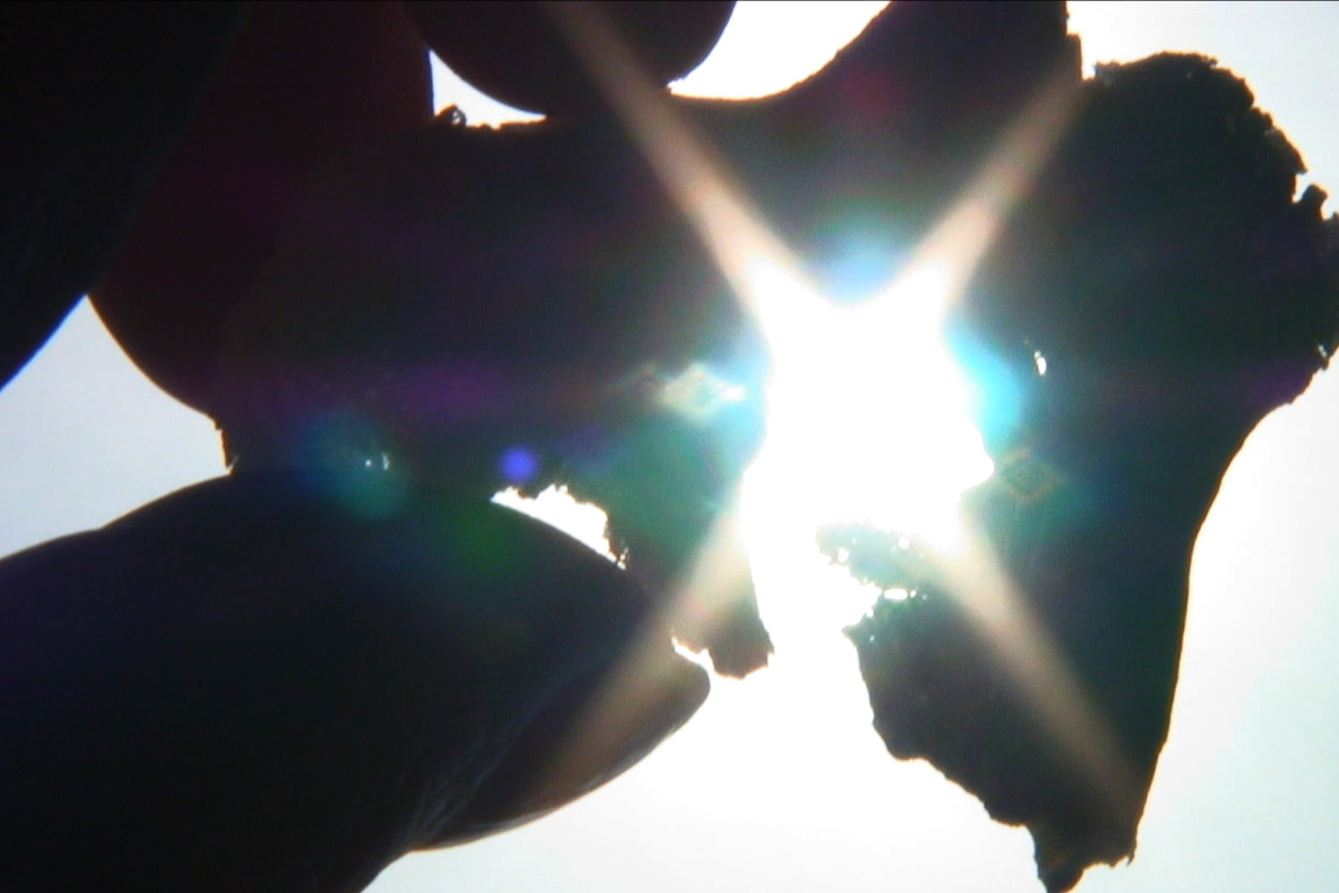 Chiri (Trace). 2012. Japan. Directed by Naomi Kawase. Courtesy of Kumie Inc.
