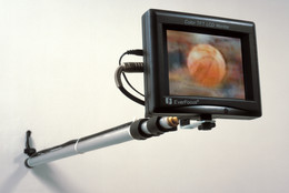 Paul Pfeiffer. John 3:16. 2000. Digital video (color, silent; 2:07 min.), LCD monitor, and metal armature. Fractional and promised gift of David Teiger. © 2016 Paul Pfeiffer