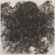 Kiki Smith. Untitled. 1990. Lithograph on handmade Japanese paper, sheet: 35 3/4 × 36″ (90.8 × 91.5 cm). Publisher and printer: Universal Limited Art Editions, West Islip, New York. Edition: 54. The Museum of Modern Art. Gift of Emily Fisher Landau