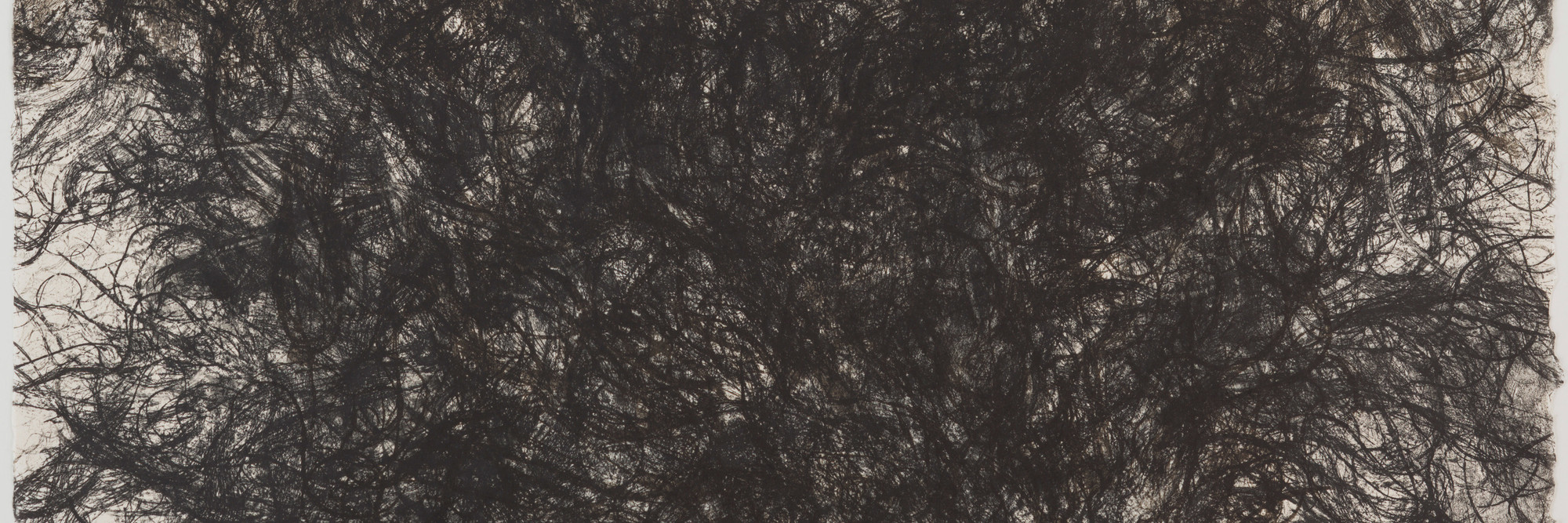 Kiki Smith. Untitled. 1990. Lithograph on handmade Japanese paper, sheet: 35 3/4 × 36″ (90.8 × 91.5 cm). Publisher and printer: Universal Limited Art Editions, West Islip, New York. Edition: 54. The Museum of Modern Art. Gift of Emily Fisher Landau
