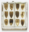 Willie Cole. Domestic I.D. IV. 1992. Iron scorches and pencil on paper mounted in recycled painted wooden window frame, 35 × 32 × 1 1/8″ (88.9 × 81.3 × 3.4 cm). The Museum of Modern Art, New York. Purchased with funds given by Agnes Gund