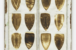 Willie Cole. Domestic I.D. IV. 1992. Iron scorches and pencil on paper mounted in recycled painted wooden window frame, 35 × 32 × 1 1/8″ (88.9 × 81.3 × 3.4 cm). The Museum of Modern Art, New York. Purchased with funds given by Agnes Gund