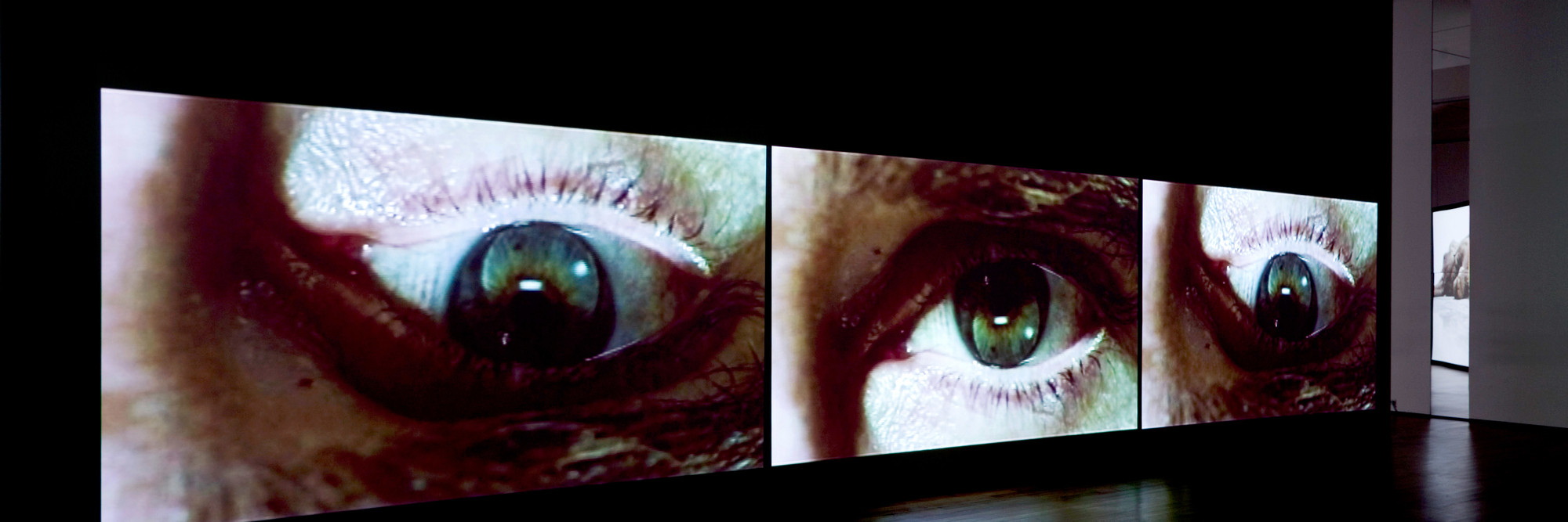 Installation view of Douglas Gordon: Timeline. The Museum of Modern Art, New York. Photo: Jonathan Muzikar