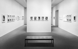 Installation view of Lee Friedlander: Nudes at The Museum of Modern Art, New York. Photo: Mali Olatunji