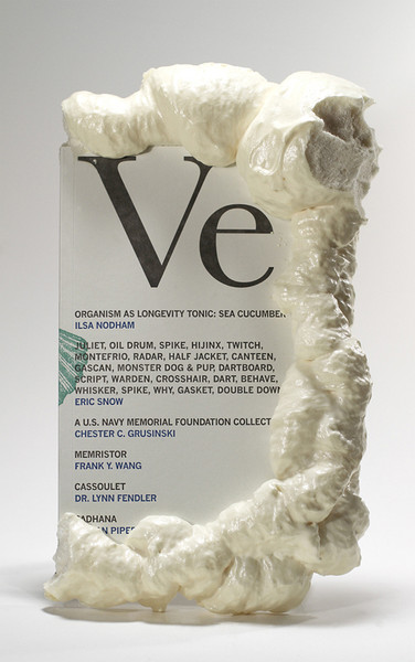Veneer. No. 05. (Portland, OR: MPH, 2008). Photo: Flint Jamison