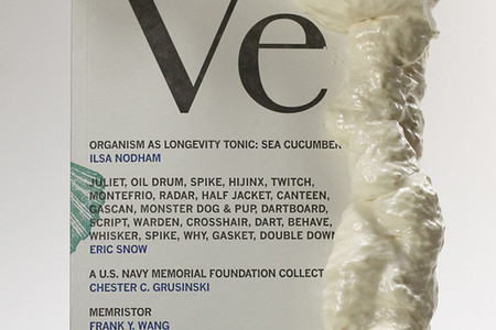 Veneer. No. 05. (Portland, OR: MPH, 2008). Photo: Flint Jamison