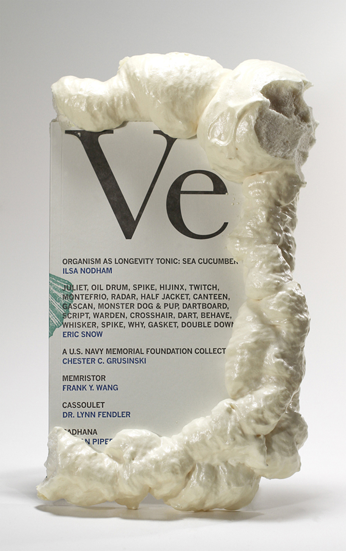 Veneer. No. 05. (Portland, OR: MPH, 2008). Photo: Flint Jamison