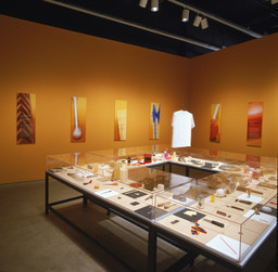 Installation view of Humble Masterpieces at The Museum of Modern Art, New York. Photo: John Wronn