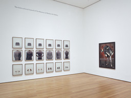 Installation view of Contemporary Voices: Works from The UBS Art Collection at The Museum of Modern Art, New York. Photo: Thomas Griesel