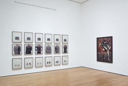 Installation view of Contemporary Voices: Works from The UBS Art Collection at The Museum of Modern Art, New York. Photo: Thomas Griesel