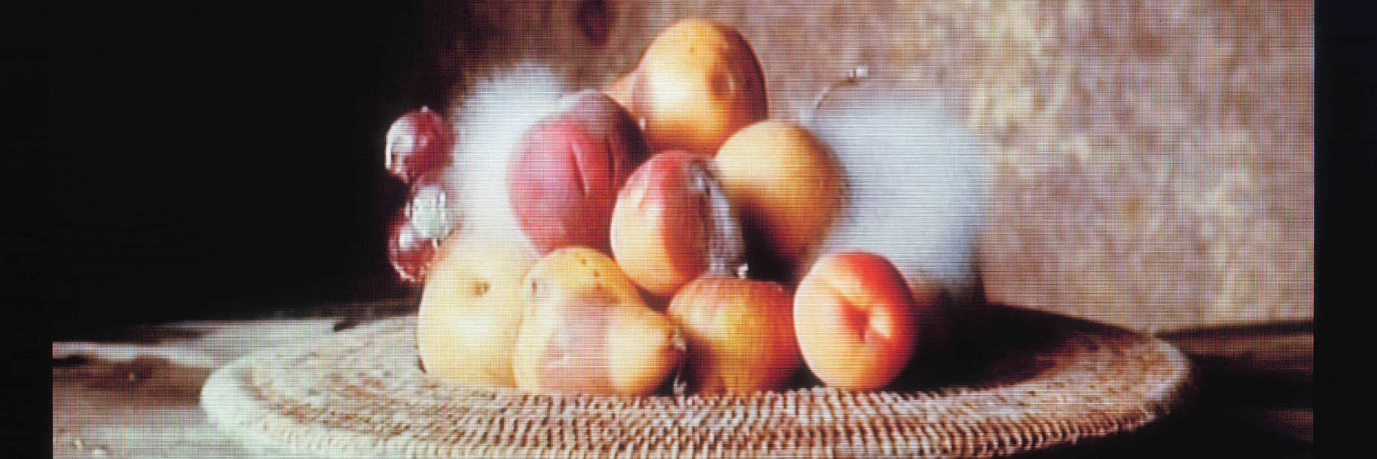 Sam Taylor-Wood. Still Life. 2001. 35 mm film transferred to DVD, 3 minutes, 44 seconds. Photo: Courtesy Jay Jopling/White Cube (London)