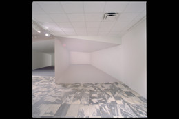 Ricci Albenda. Tesseract. 2001. Installation view. Wallboard, gatorboard, fiberglass, aluminum, paint, and light, 25 × 30 × 10′ (762 × 914.4 × 304.8 cm) (approx.). Courtesy Andrew Kreps Gallery, New York