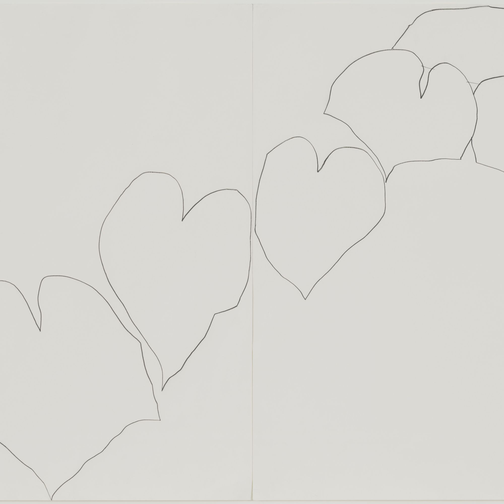 Ellsworth Kelly. Wild Grape. 1960. Pencil on two sheets of paper, overall: 28 1/2 × 25″ (72.4 × 114.3 cm). The Museum of Modern Art, New York. Gift of Kathy and Richard Fuld, Jr. in honor of Ellsworth Kelly’s 80th birthday. © 2003 Ellsworth Kelly