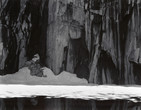 Ansel Adams. Ice and Cliffs, Kaweah Gap, California. 1932, print 1963. Gelatin silver print. Purchase. © 2016 The Ansel Adams Publishing Rights Trust