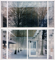 Sabine Hornig. Untitled. 2002. Chromogenic color prints, dimensions variable. Courtesy of the artist; Tanya Bonakdar Gallery, New York; and Galerie Barbara Thumm, Berlin