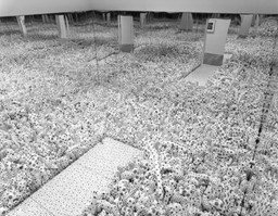 Yayoi Kusama. Installation view of Love Forever: Yayoi Kusama 1958–1968 at The Museum of Modern Art, New York. Photo: Thomas Griesel