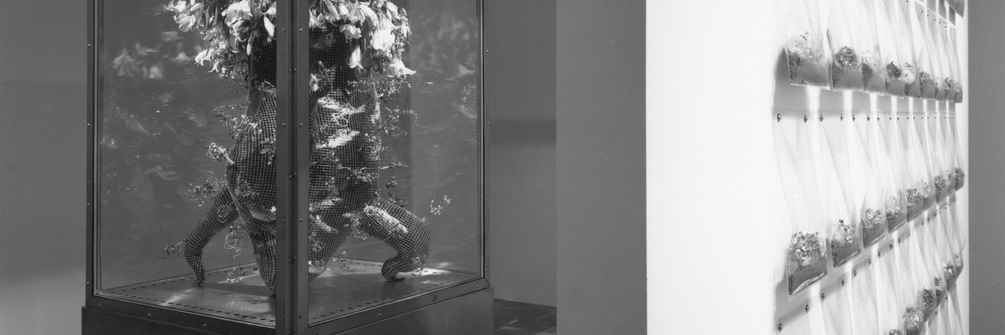 Installation view of Projects 57: Bul Lee/Chie Matsui at The Museum of Modern Art, New York. Photo: Erik Landsberg