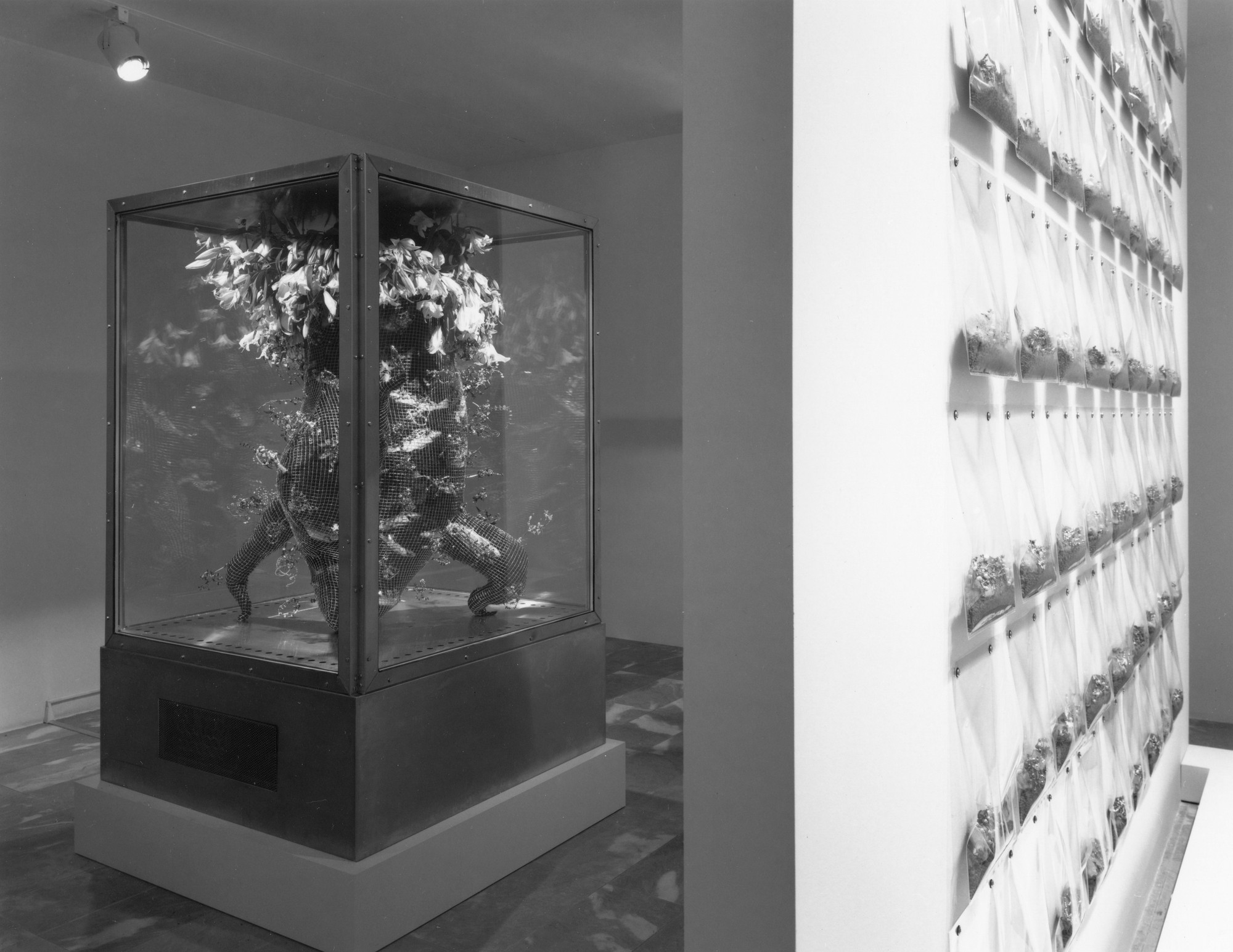 Installation view of Projects 57: Bul Lee/Chie Matsui at The Museum of Modern Art, New York. Photo: Erik Landsberg
