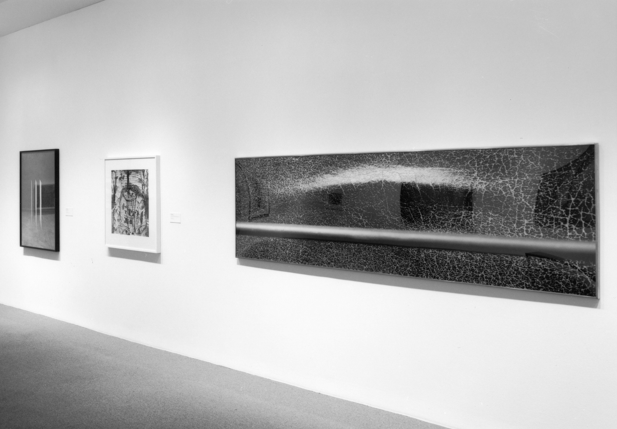 Installation view of Object and Abstraction: Contemporary Photographs at The Museum of Modern Art, New York. Photo: Thomas Griesel