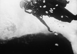 Bruce Conner. A MOVIE. 1959. 16mm film (black and white, sound). The Museum of Modern Art, New York and San Francisco Museum of Modern Art (Accessions Committee Fund purchase), with the generous support of the New Art Trust. © Bruce Conner 2016. Courtesy Conner Family Trust