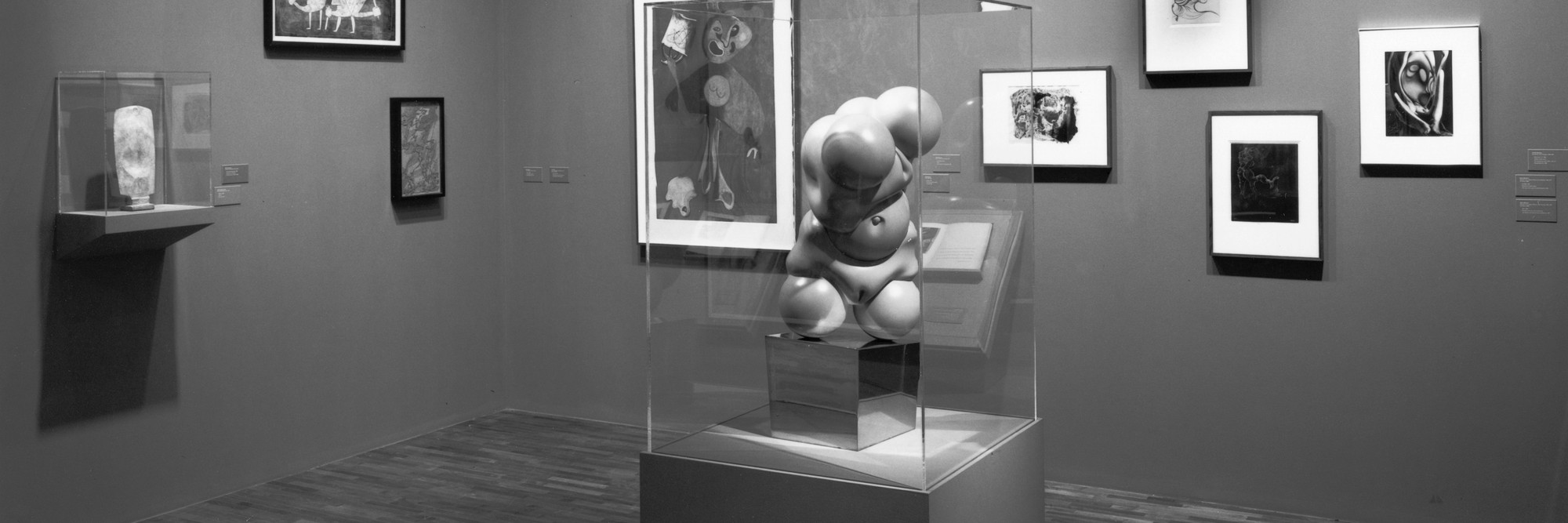 Installation view of Deformations: Aspects of the Modern Grotesque at The Museum of Modern Art, New York. Photo: Erik Landsberg