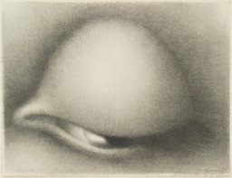 Rodolfo Abularach. Enigmatic Eye I (Ojo Enigmatico I). 1969. Lithograph, composition 22 5/8 × 29 3/8″ (57.4 × 74.6 cm); sheet 22 5/8 × 29 3/8″ (57.4 × 74.6 cm). Publisher: the artist, New York. Printer: Atelier Mourlot, Ltd., New York. Edition: 100. Inter-American Fund. © 2016 Rodolfo Abularach