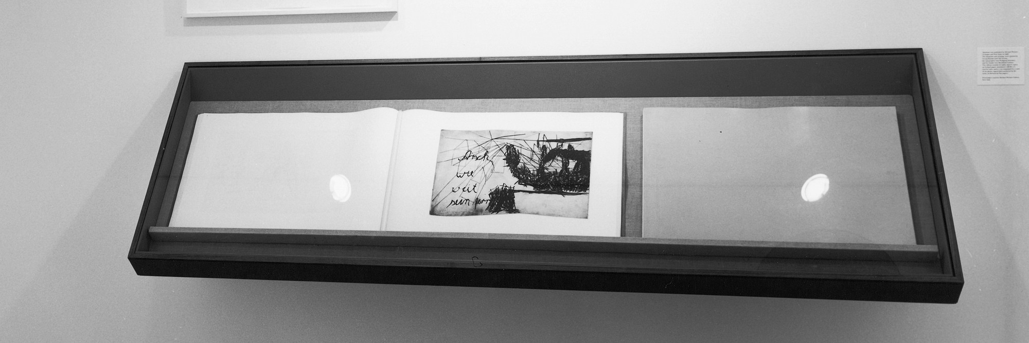 Installation view of Malelade by Georg Baselitz at The Museum of Modern Art, New York. Photo: Mali Olatunji