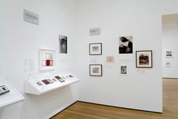 Installation view of The Printed Picture at The Museum of Modern Art, New York. Photo: Jonathan Muzikar