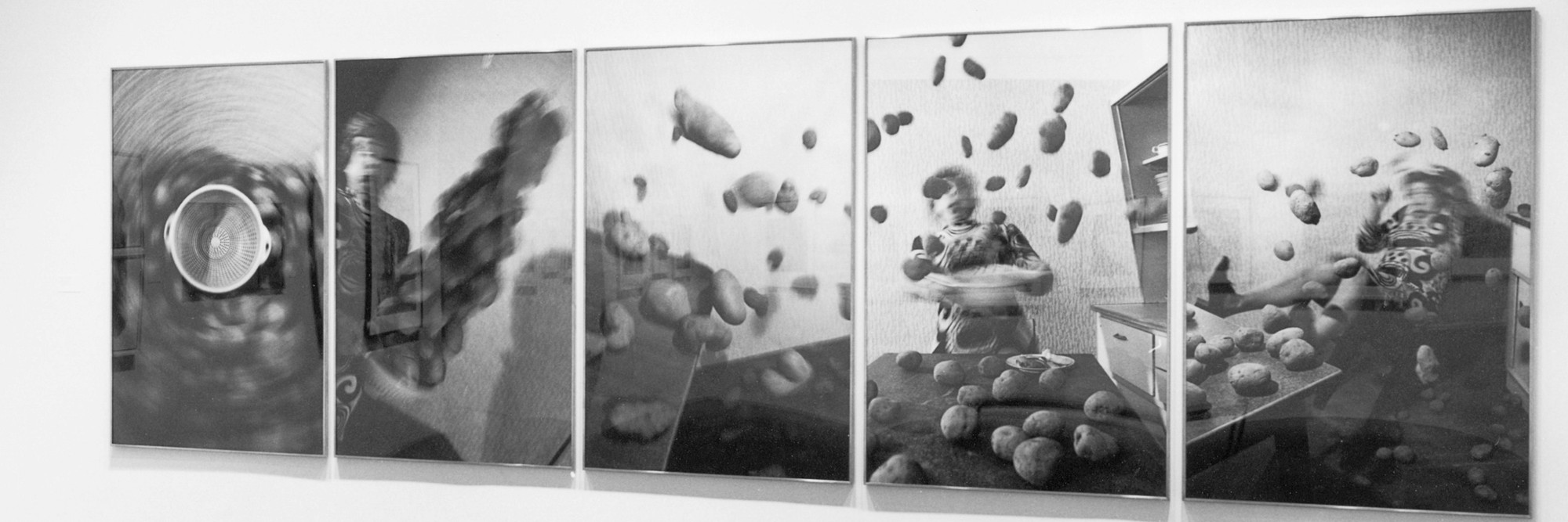 Installation view of Recent Acquisitions: Photography at The Museum of Modern Art, New York. Photo: Mali Olatunji