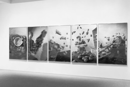 Installation view of Recent Acquisitions: Photography at The Museum of Modern Art, New York. Photo: Mali Olatunji