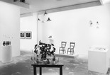 Installation view of Projects 44: Sarah Lucas and Steven Pippin at The Museum of Modern Art, New York. Photo: Mali Olatunji