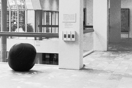 Gabriel Orozco. Naturaleza recuperada (Recaptured Nature). 1990. Vulcanized Rubber. Installation view of Projects 41: Gabriel Orozco at The Museum of Modern Art, New York. Photo: Mali Olatunji