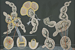 Max Ernst. The Gramineous Bicycle Garnished with Bells the Dappled Fire Damps and the Echinoderms Bending the Spine to Look for Caresses. c. 1921. Gouache, ink, and pencil on printed paper on paperboard, 29 1/4 × 39 1/4ʺ (74.3 × 99.7 cm). Purchase. © 2016 Artists Rights Society (ARS), New York / ADAGP, Paris