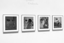 Installation view of William Wegman’s Cinderella at The Museum of Modern Art, New York. Photo: Mali Olatunji