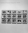 Installation view of Stills at The Museum of Modern Art, New York. Photo: Mali Olatunji
