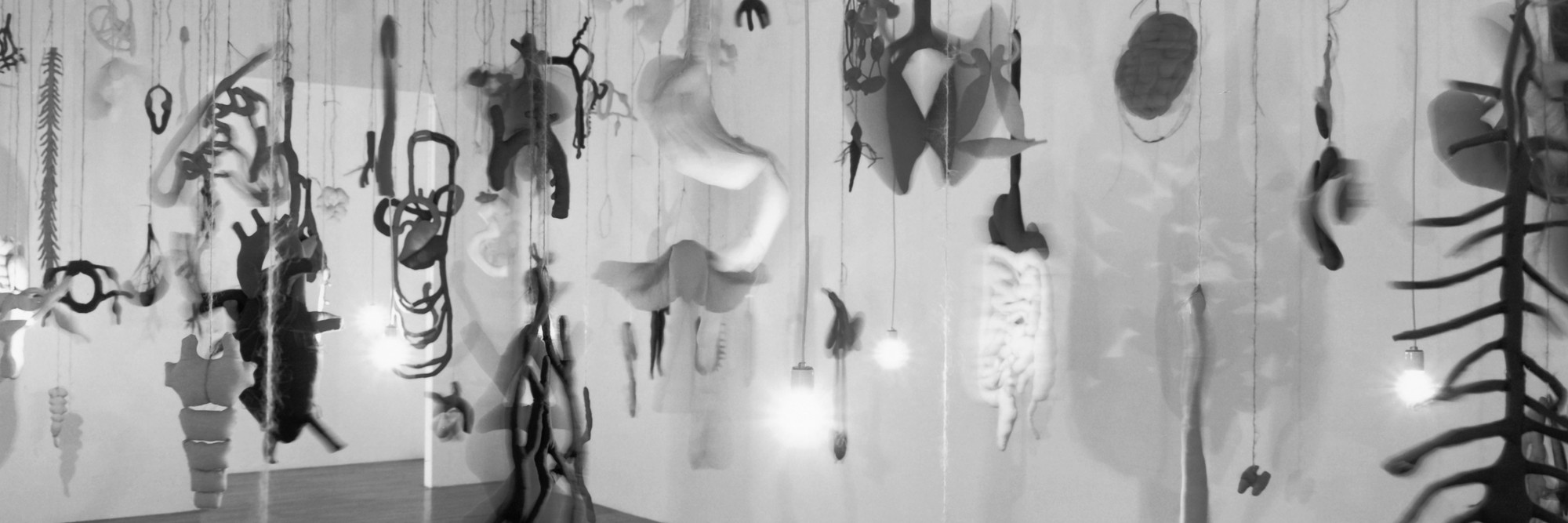 Installation view of Annette Messager at The Museum of Modern Art, New York. Photo: Mali Olatunji