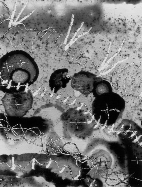 Begone Dull Care. 1949. 35mm film (color, sound). Directed by Norman McLaren and Evelyn Lambert. Gift of the National Film Board of Canada