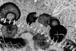 Begone Dull Care. 1949. 35mm film (color, sound). Directed by Norman McLaren and Evelyn Lambert. Gift of the National Film Board of Canada