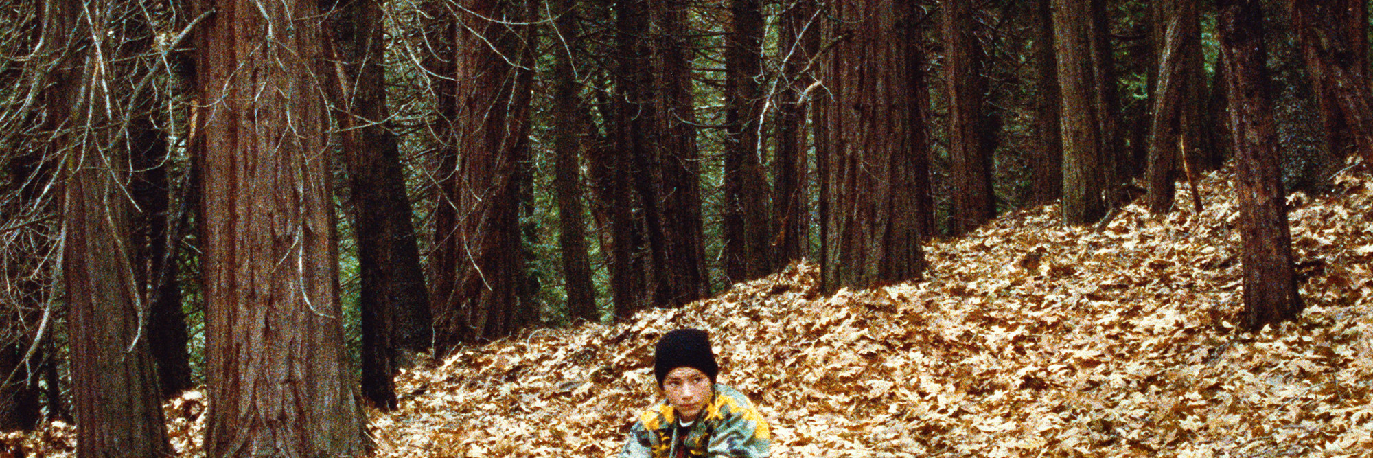 Pine Flat. 2006. USA. Directed by Sharon Lockhart