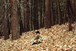 Pine Flat. 2006. USA. Directed by Sharon Lockhart