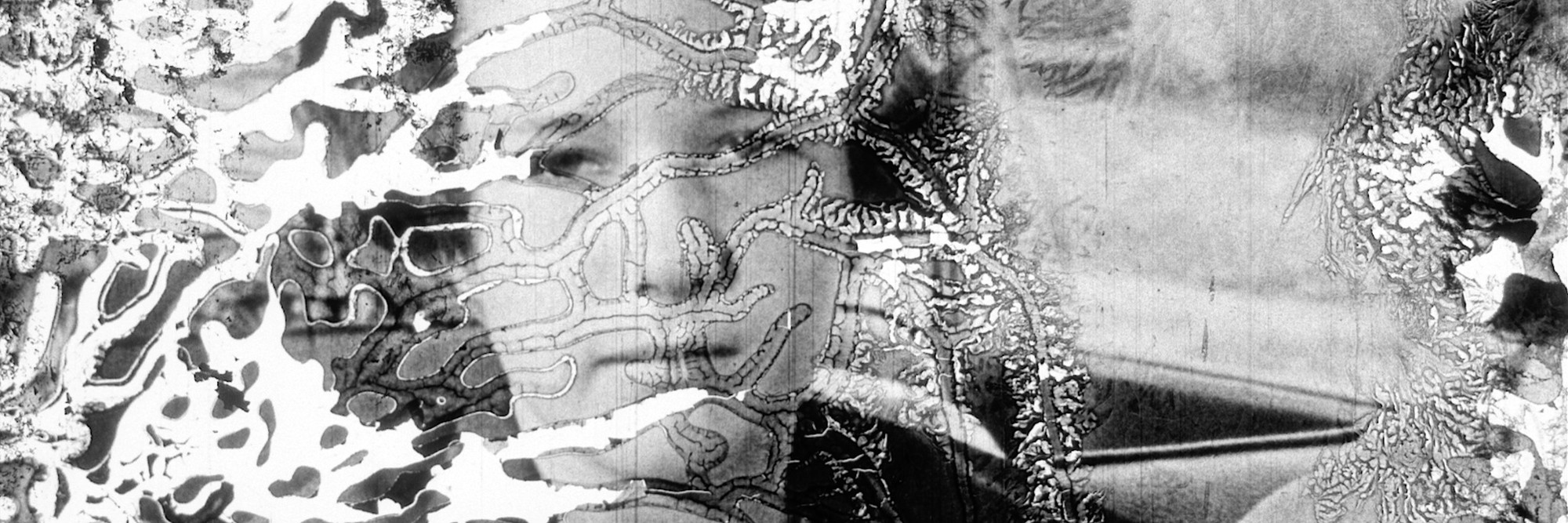 Decasia. 2002. USA. Directed by Bill Morrison. Courtesy of Bill Morrison