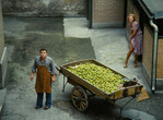 Händler der vier Jahreszeiten (The Merchant of Four Seasons). 1971. West Germany. Written and directed by Rainer Werner Fassbinder