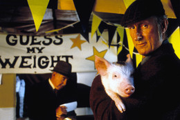Babe. 1995. Australia/United States. Directed by Chris Noonan. Courtesy Universal City Studios/Photofest