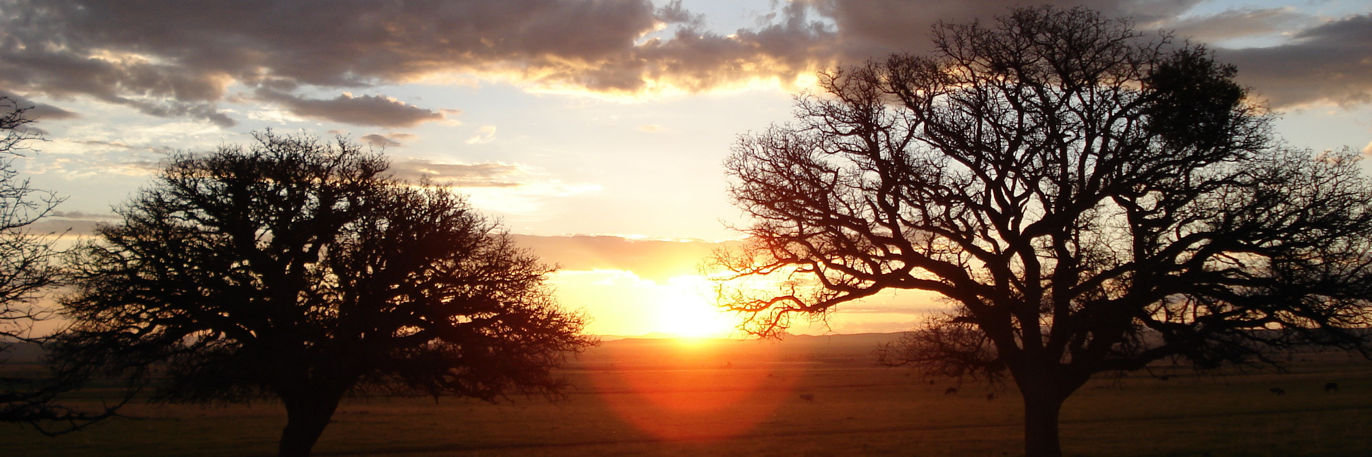 Silent Light. 2007. Mexico/France/Netherlands/Germany. Written and directed by Carlos Reygadas
