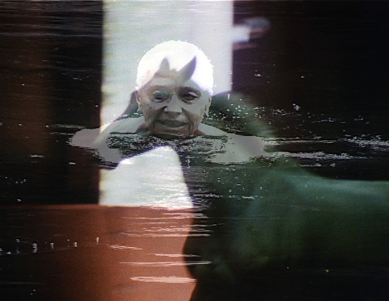 A Horse Is Not a Metaphor. 2008. USA. Directed by Barbara Hammer